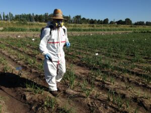 Detectaron 17 tipos de agroquímicos en el agua de lluvia de Lobos