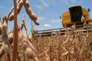 Ley Ómnibus: Un texto a medida del agronegocio