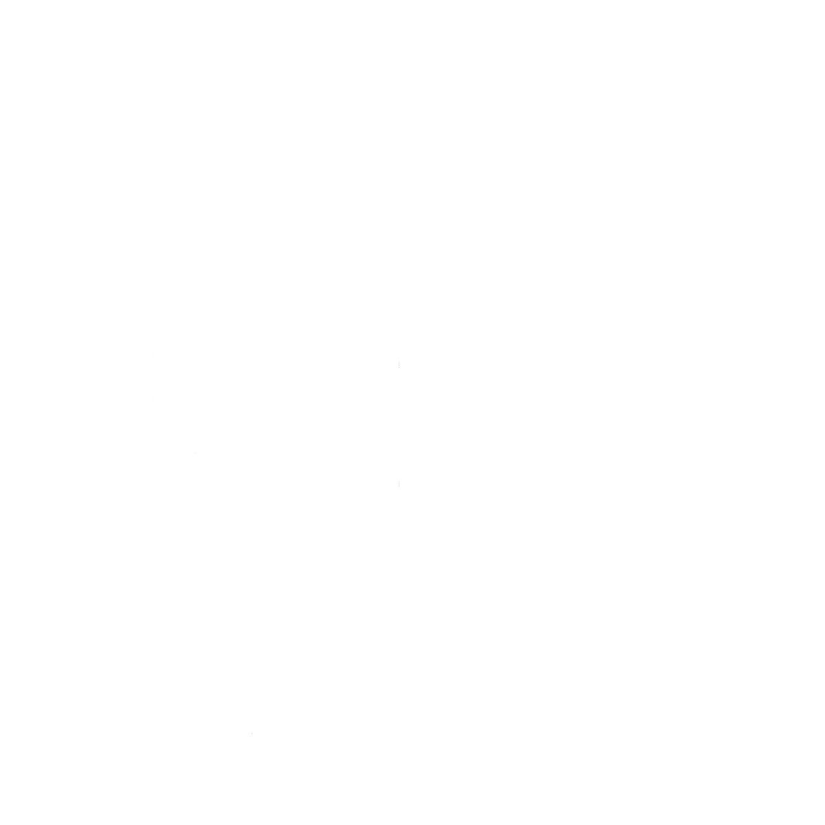 Desde la ra&iacute;z