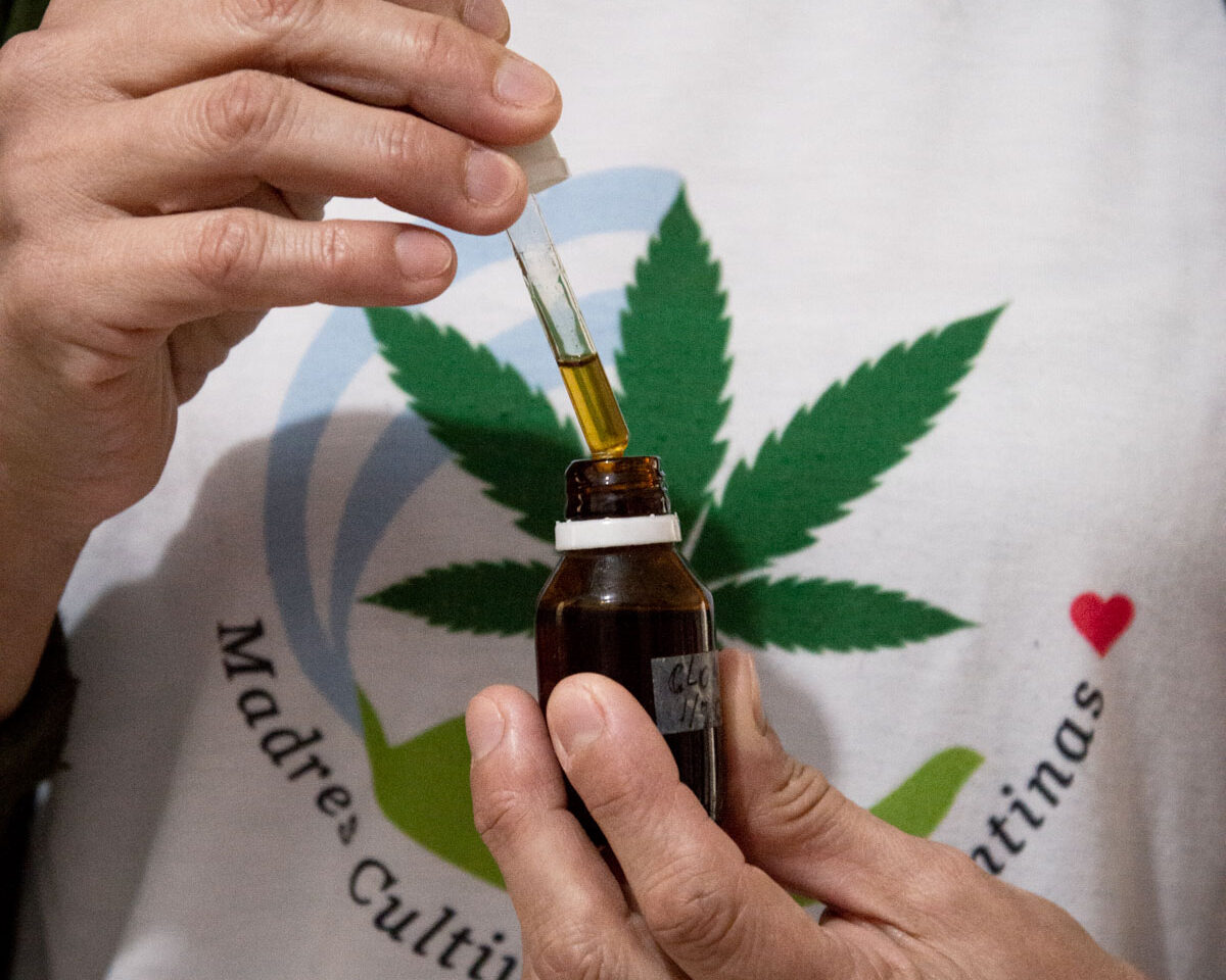 Las organizaciones cannábicas se organizan en la provincia