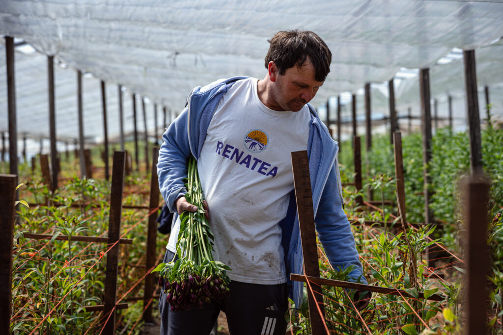 Floricultor de Abasto, provincia de Buenos Aires. 