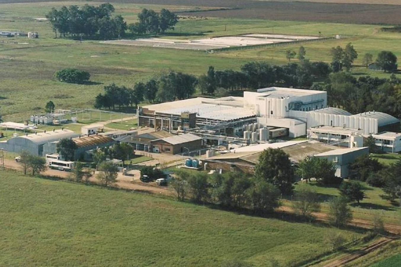 Escuelita de verano: Alimentos Refrigerados Sociedad Anónima.