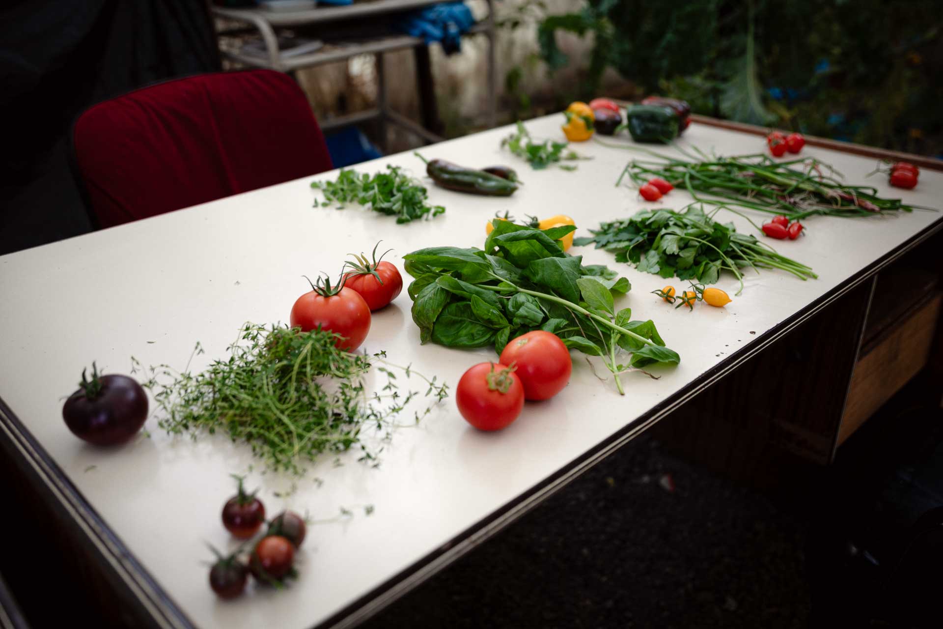 RGACTIVA: Con la misión de alimentar el fin del mundo